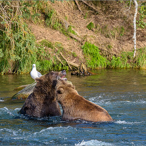 Alaska_2018-2195.jpg
