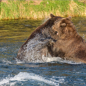 Alaska_2018-2775.jpg