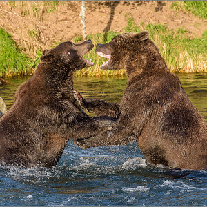 Alaska_2018-2774.jpg