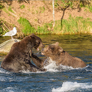 Alaska_2018-2767.jpg