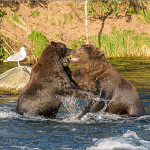 Alaska_2018-2766.jpg