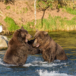 Alaska_2018-2763.jpg