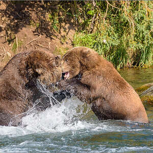 Alaska_2018-2206.jpg