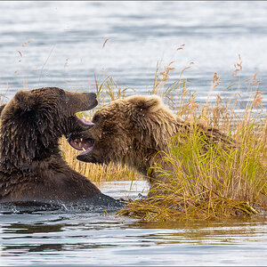 Alaska_2018-2964.jpg