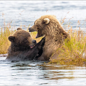 Alaska_2018-2961.jpg