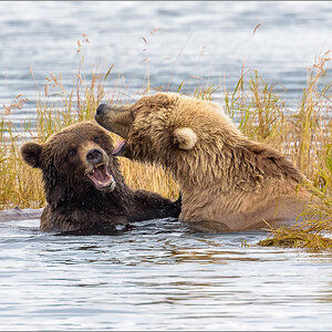 Alaska_2018-2960.jpg