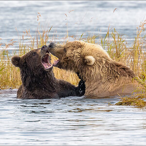 Alaska_2018-2959.jpg