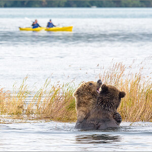 Alaska_2018-2956.jpg