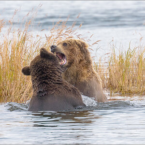 Alaska_2018-2949.jpg