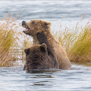 Alaska_2018-2947.jpg