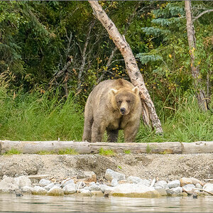 Alaska_2018-2446.jpg