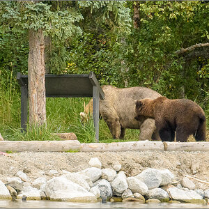 Alaska_2018-2443.jpg