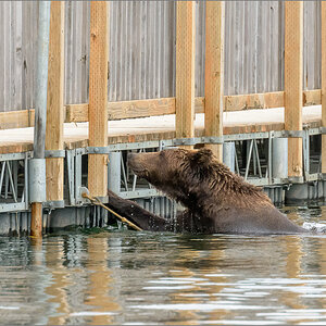 Alaska_2018-2437.jpg