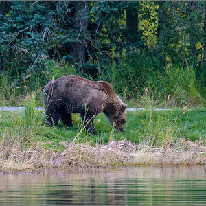 Alaska_2018-2784.jpg