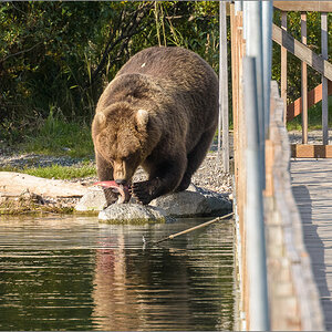 Alaska_2018-2339.jpg