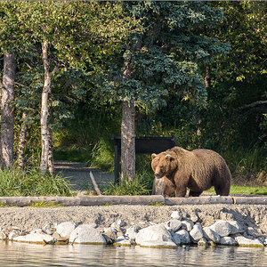 Alaska_2018-2336.jpg