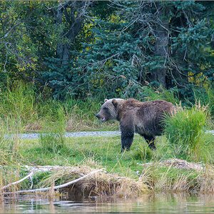 Alaska_2018-2786.jpg