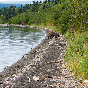 Alaska_2018-2987.jpg