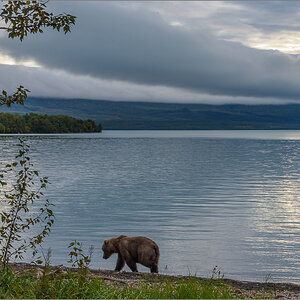 Alaska_2018-2999.jpg
