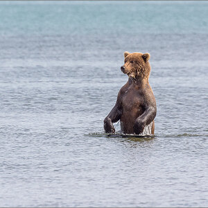 Alaska_2018-2900.jpg