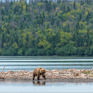 Alaska_2018-2760.jpg