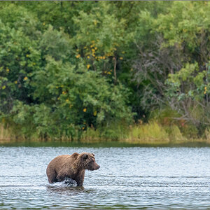 Alaska_2018-2757.jpg