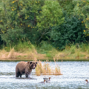 Alaska_2018-2756.jpg