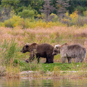 Alaska_2018-2520.jpg
