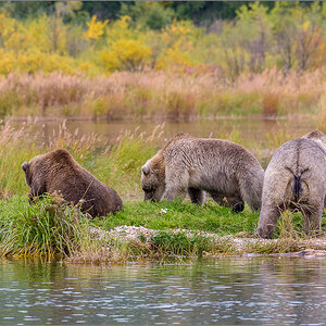 Alaska_2018-2515.jpg