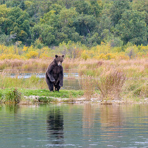 Alaska_2018-2489.jpg