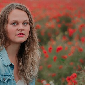 Mohn I