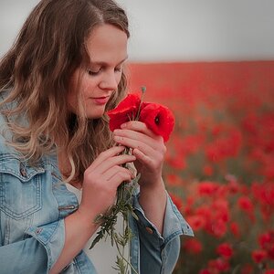 Mohn III