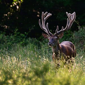2020_19127.jpg