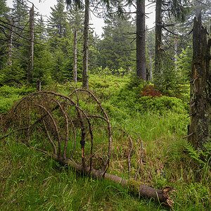 D81_3059.jpg