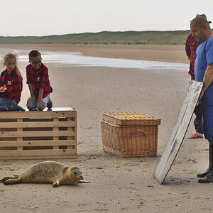 A Seal 20200617 Beestenbrigade-023.jpg