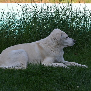 DSC_0134.JPG