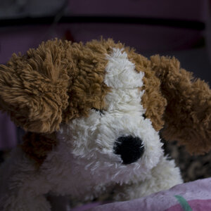 Hier ist "Mr. Brown" =) ich lag im Bett meiner Freundin und sah ihn grad so "sitzen/stehen" ^^