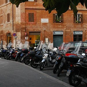 DSC 5229