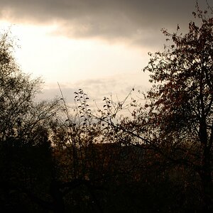 Es wird Nacht