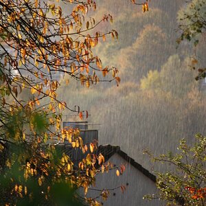 Regen und Sonne im Herbst