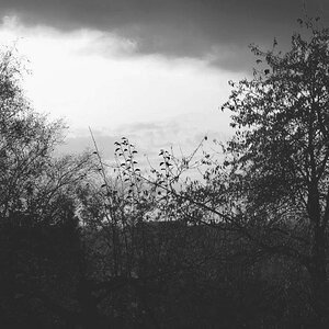 Es wird Nacht (S/W)