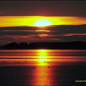 •Afterglow•
Sonnenuntergang im "Nationalpark Vorpommersche Boddenlandschaft"
Nikon D300 mit Nikkor AF 2,8/80-200mm IF D ED