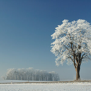 Winter 1