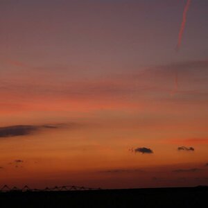 DSC 0004