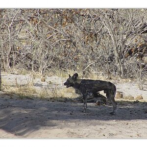 Namibia 2005 102 bearbeitet 1