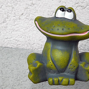 garten frosch