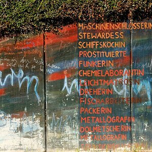Berufswünsche junger Hamburgerinnen