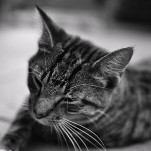 Whisky 3