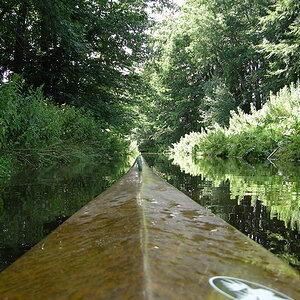 DSCN4235 copy
