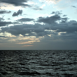 20200523_052516_nf.jpg